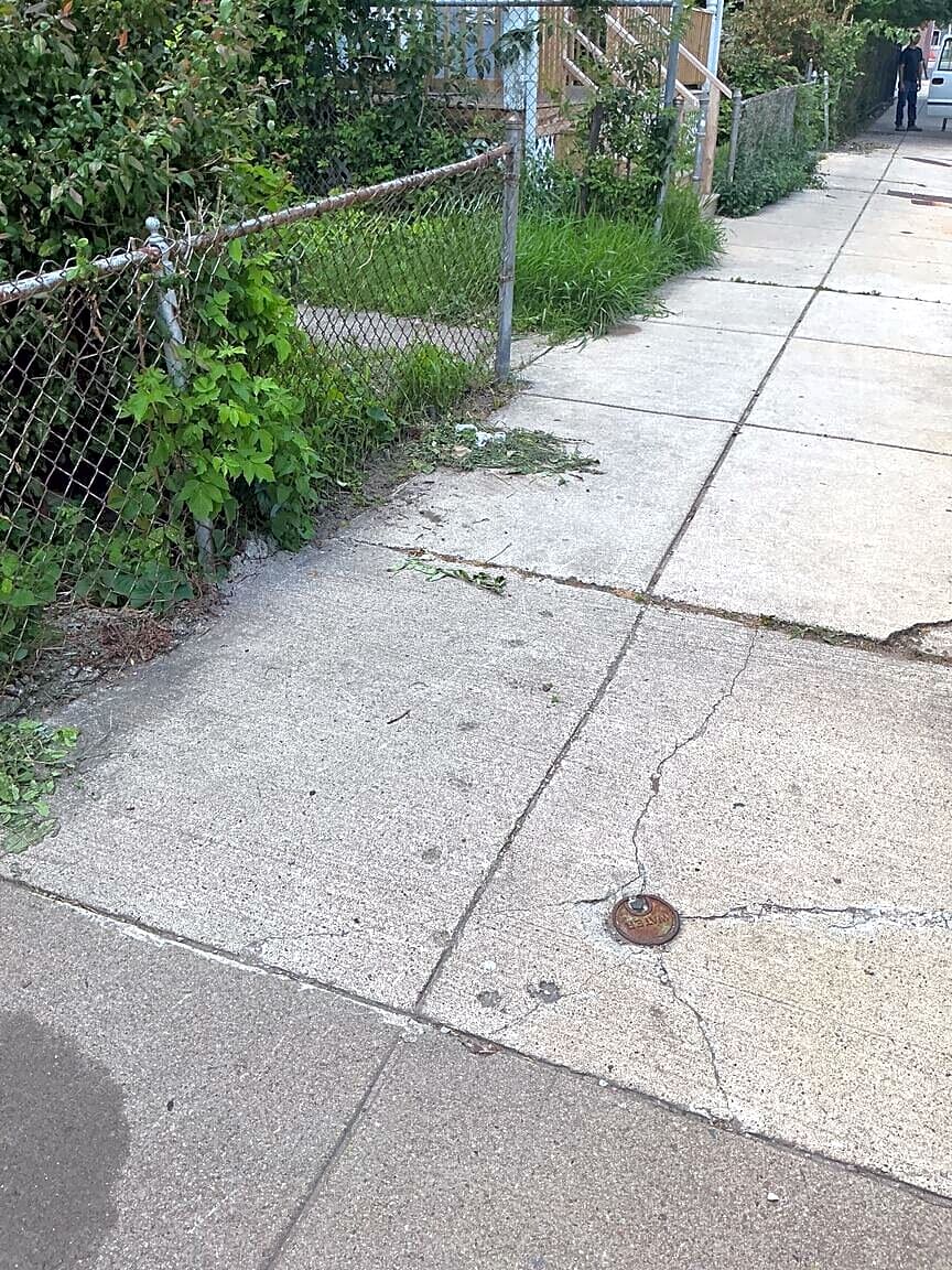 Image submitted with report