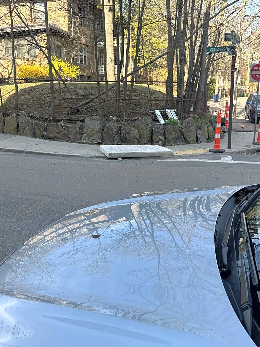 Image submitted with report