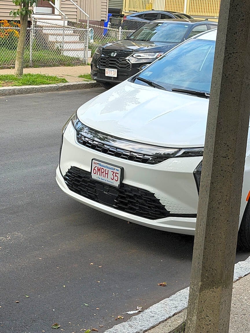 Image submitted with report