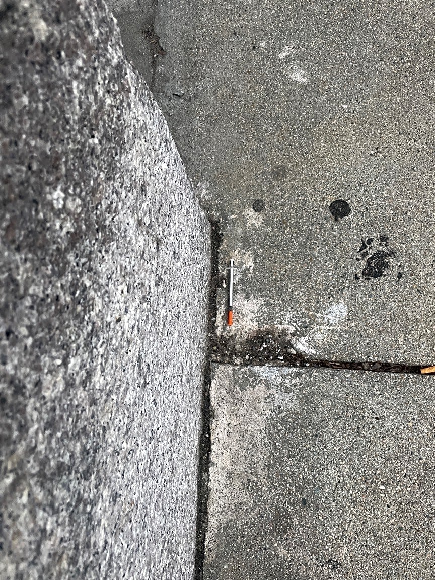 Image submitted with report