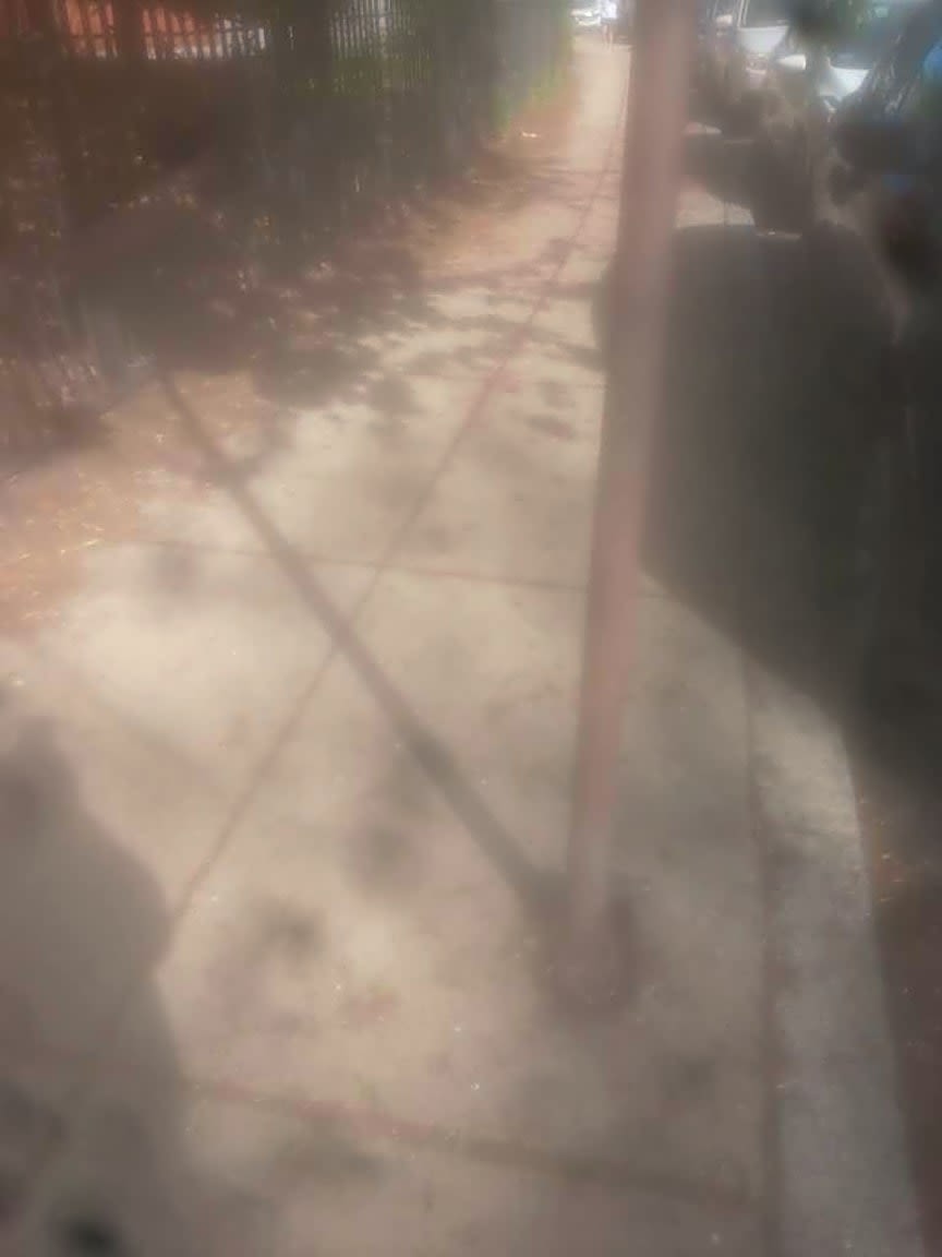 Image submitted with report