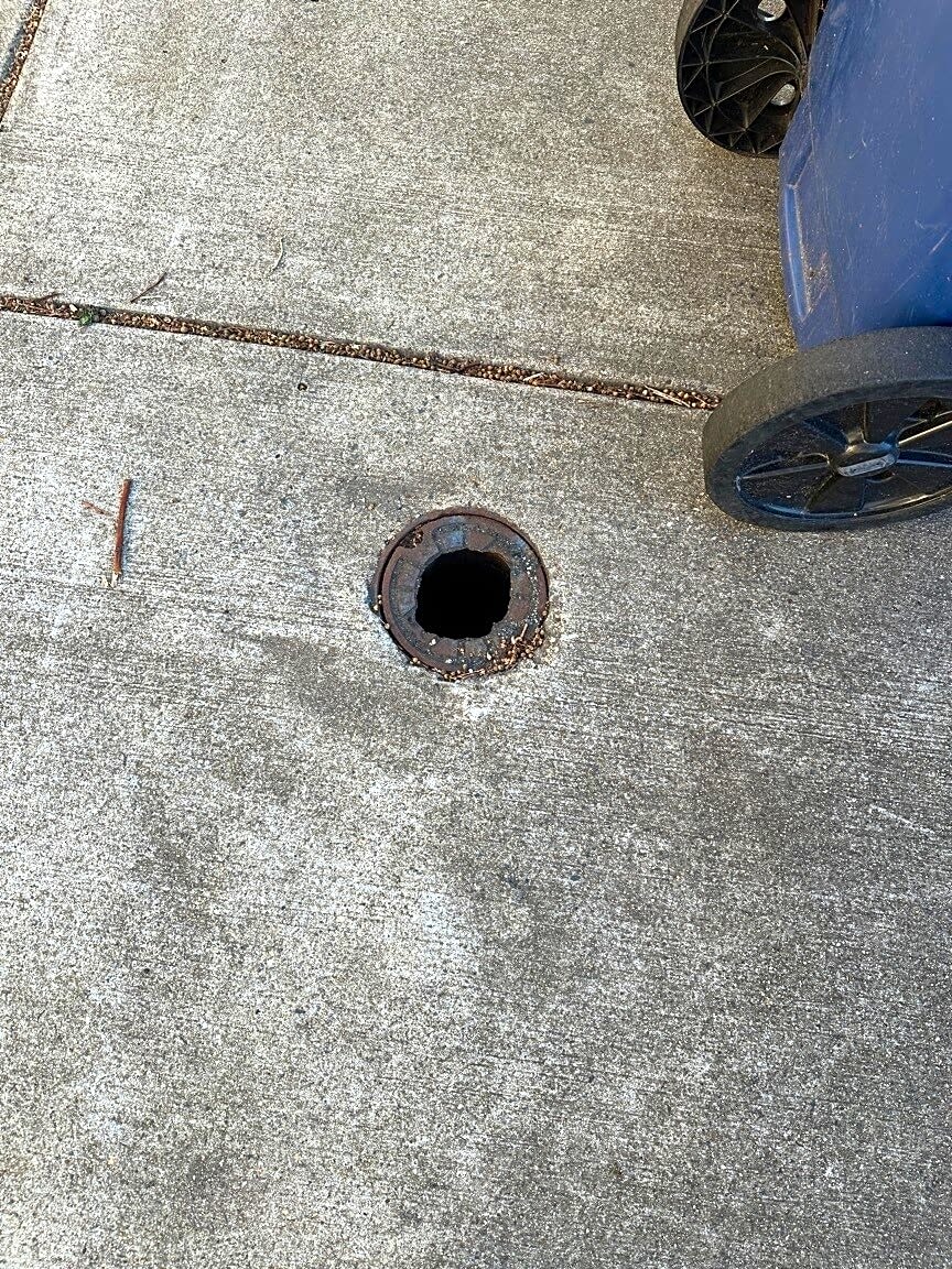 Image submitted with report