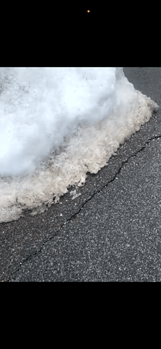 Image submitted with report