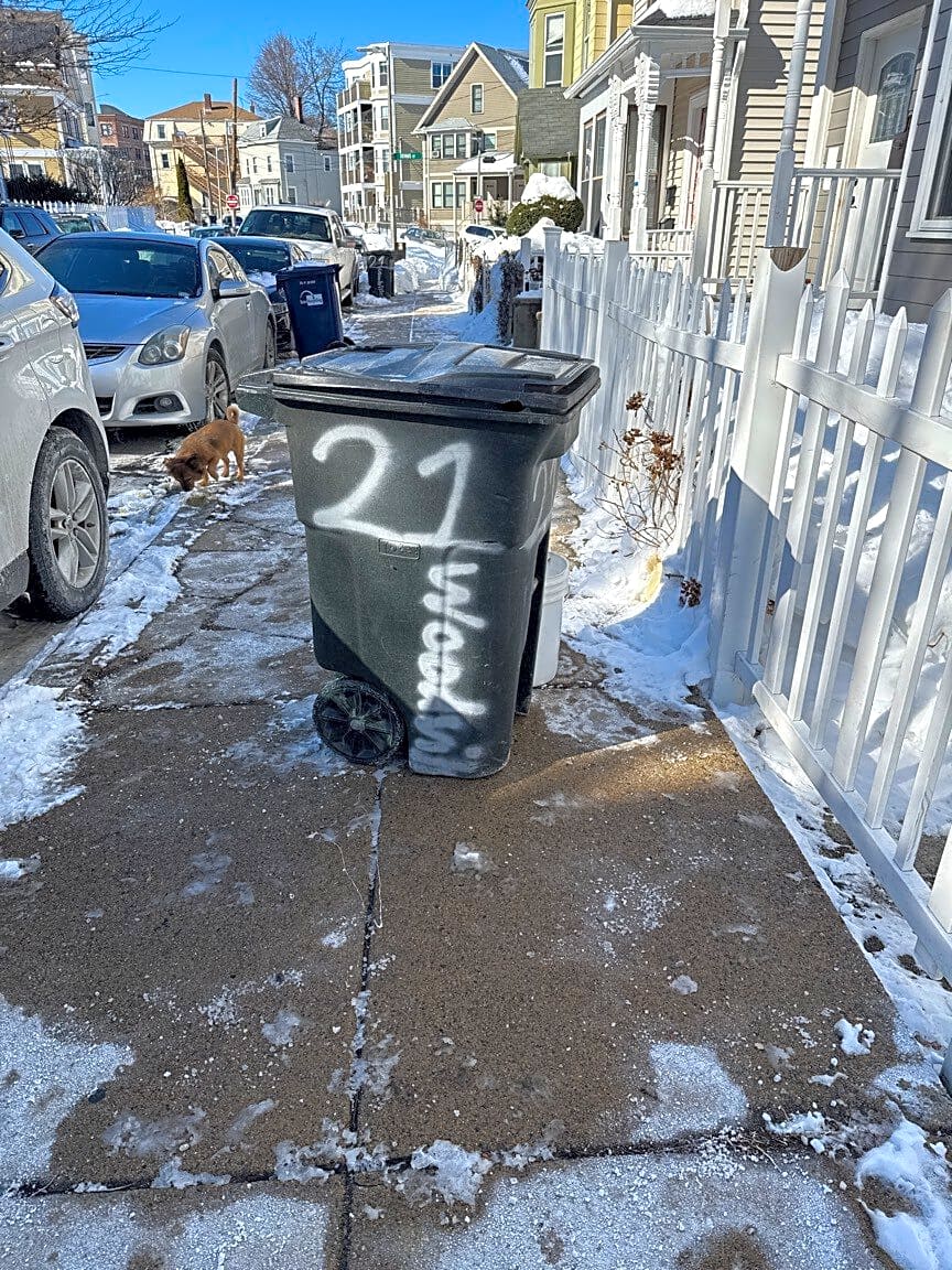 Image submitted with report