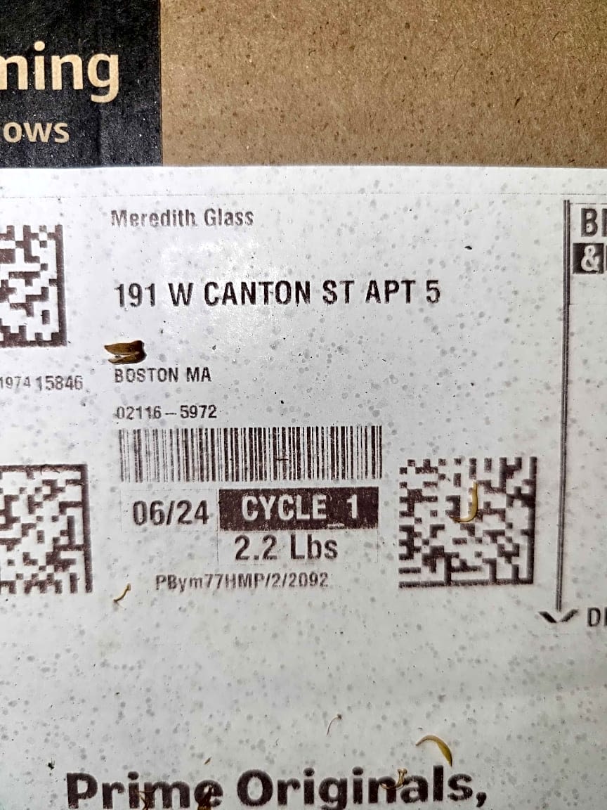 Image submitted with report