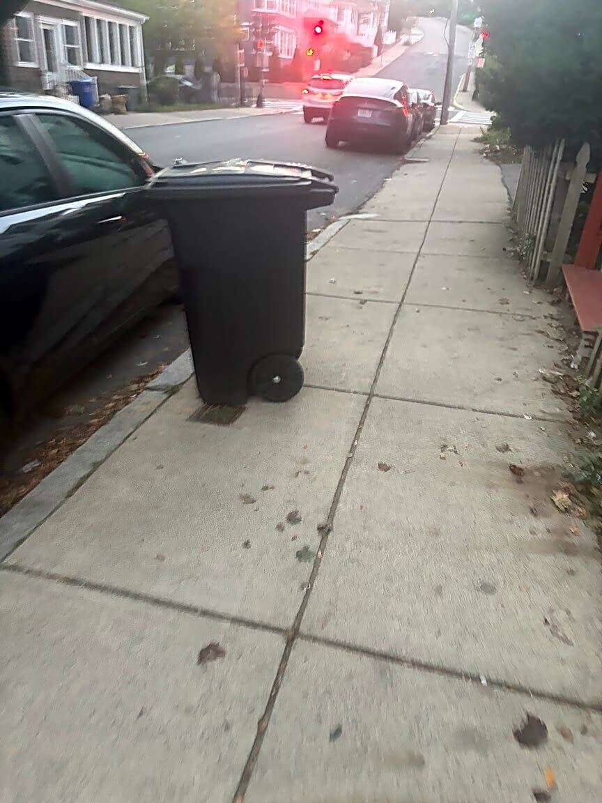 Image submitted with report