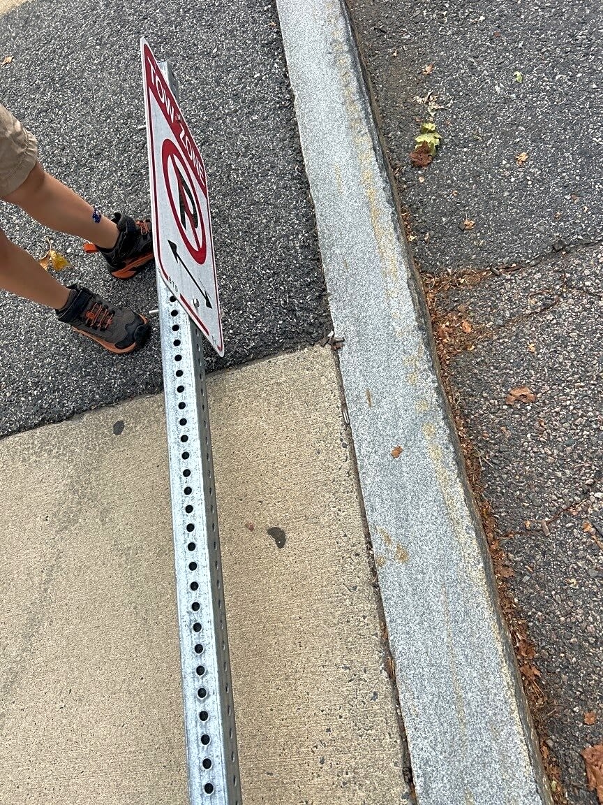 Image submitted with report