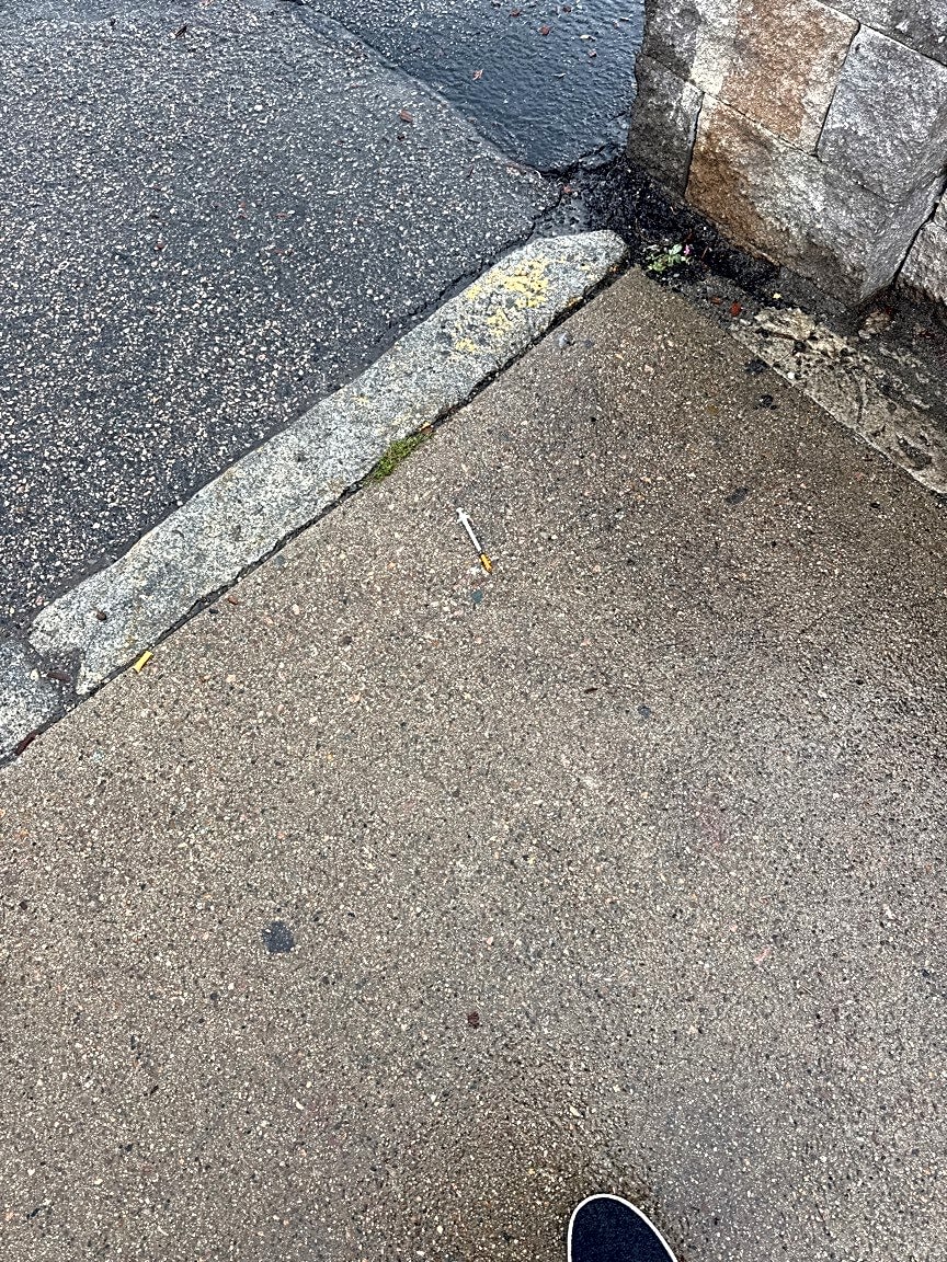 Image submitted with report