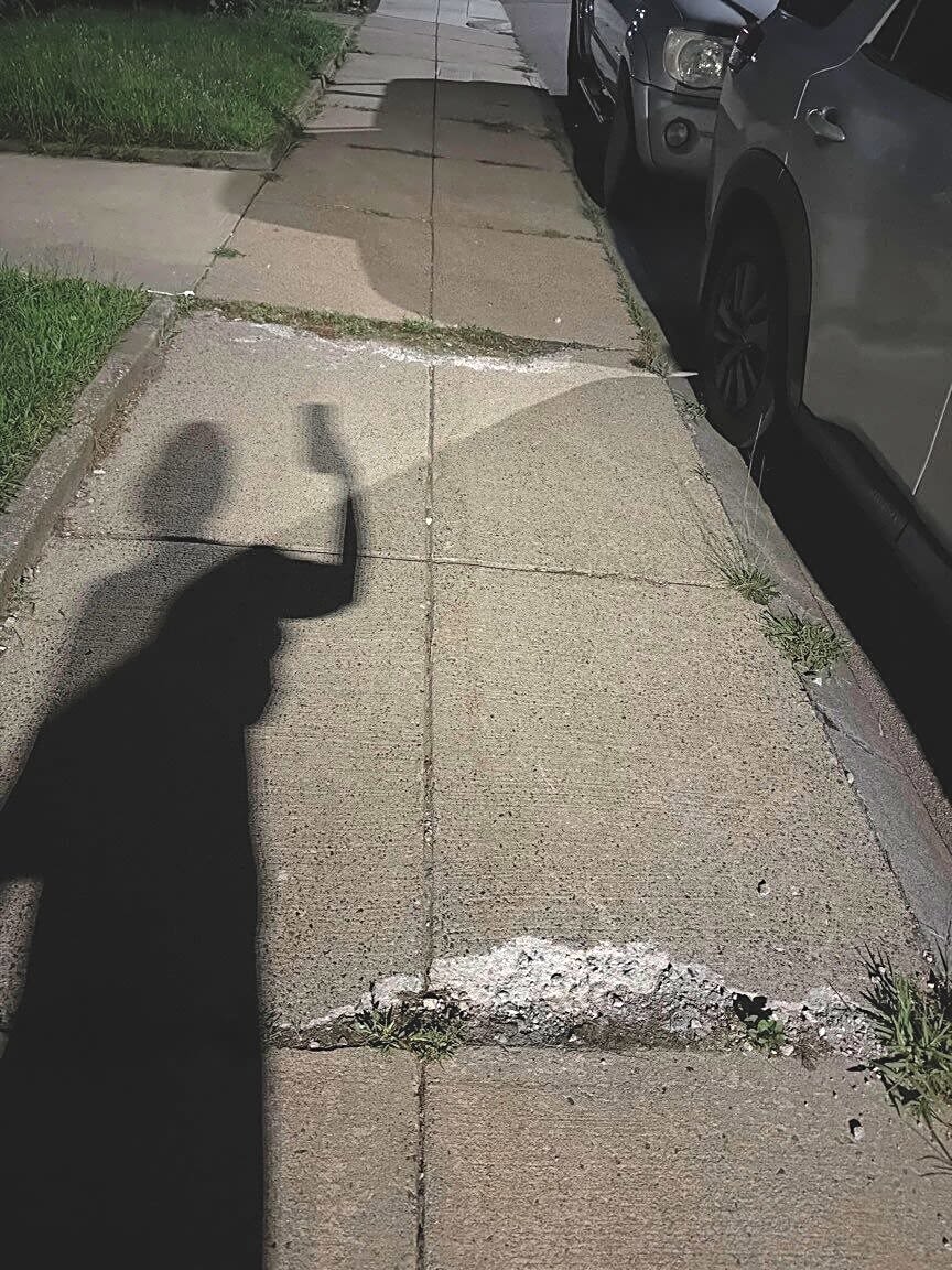 Image submitted with report