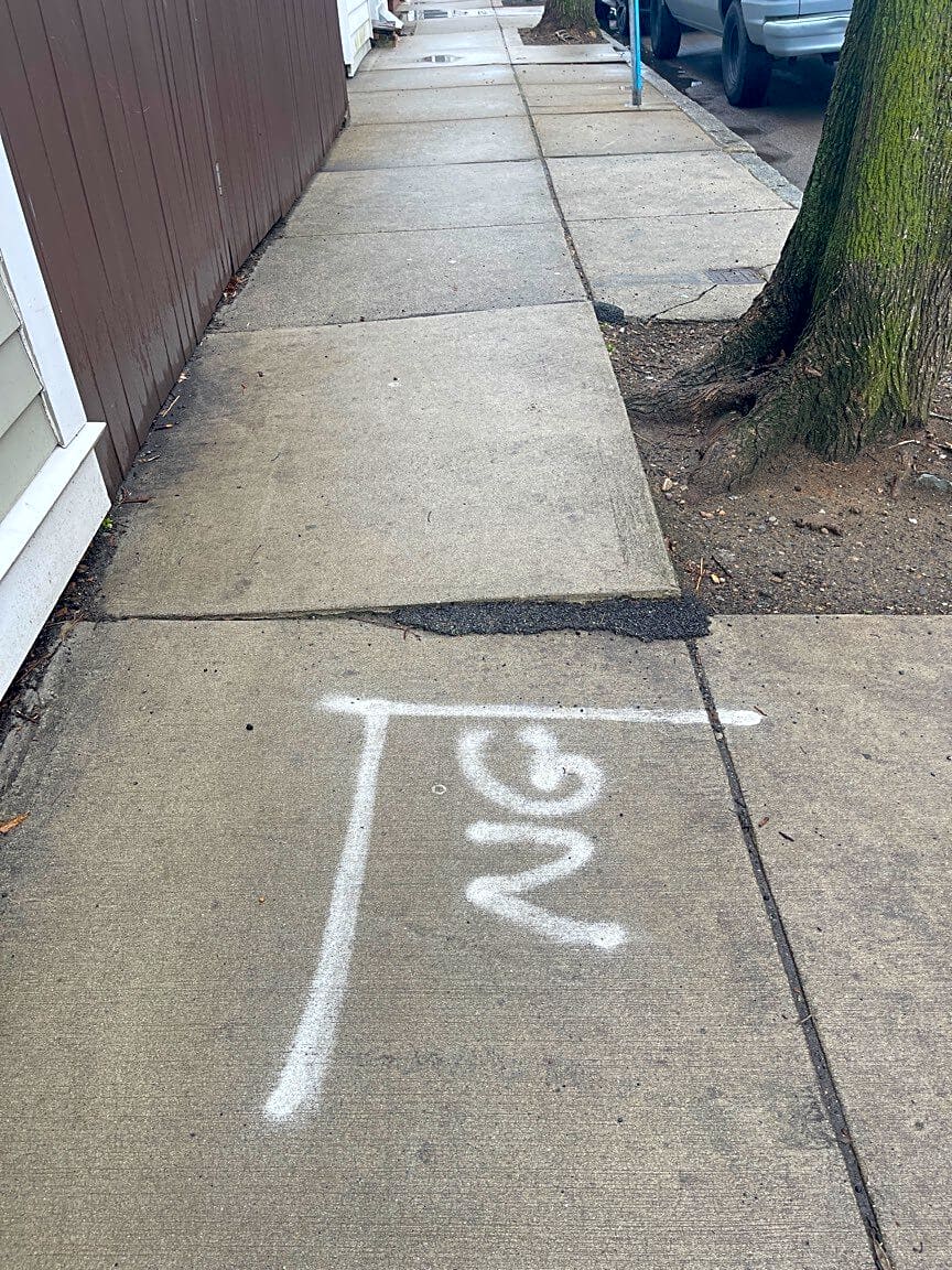 Image submitted with report