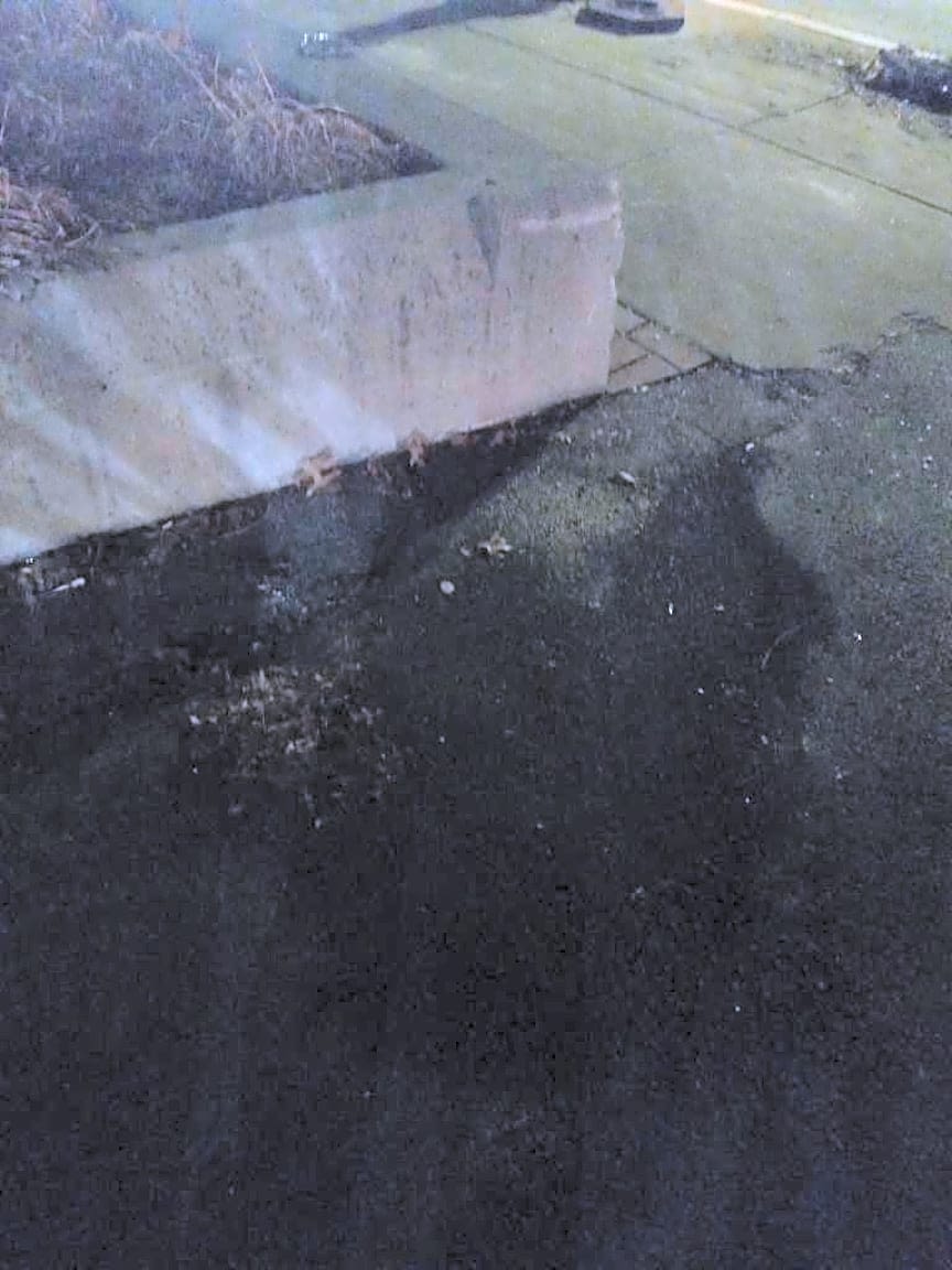 Image submitted with report