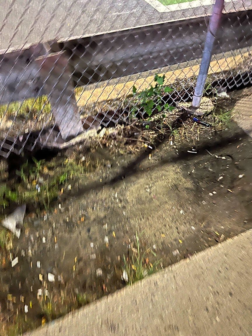 Image submitted with report