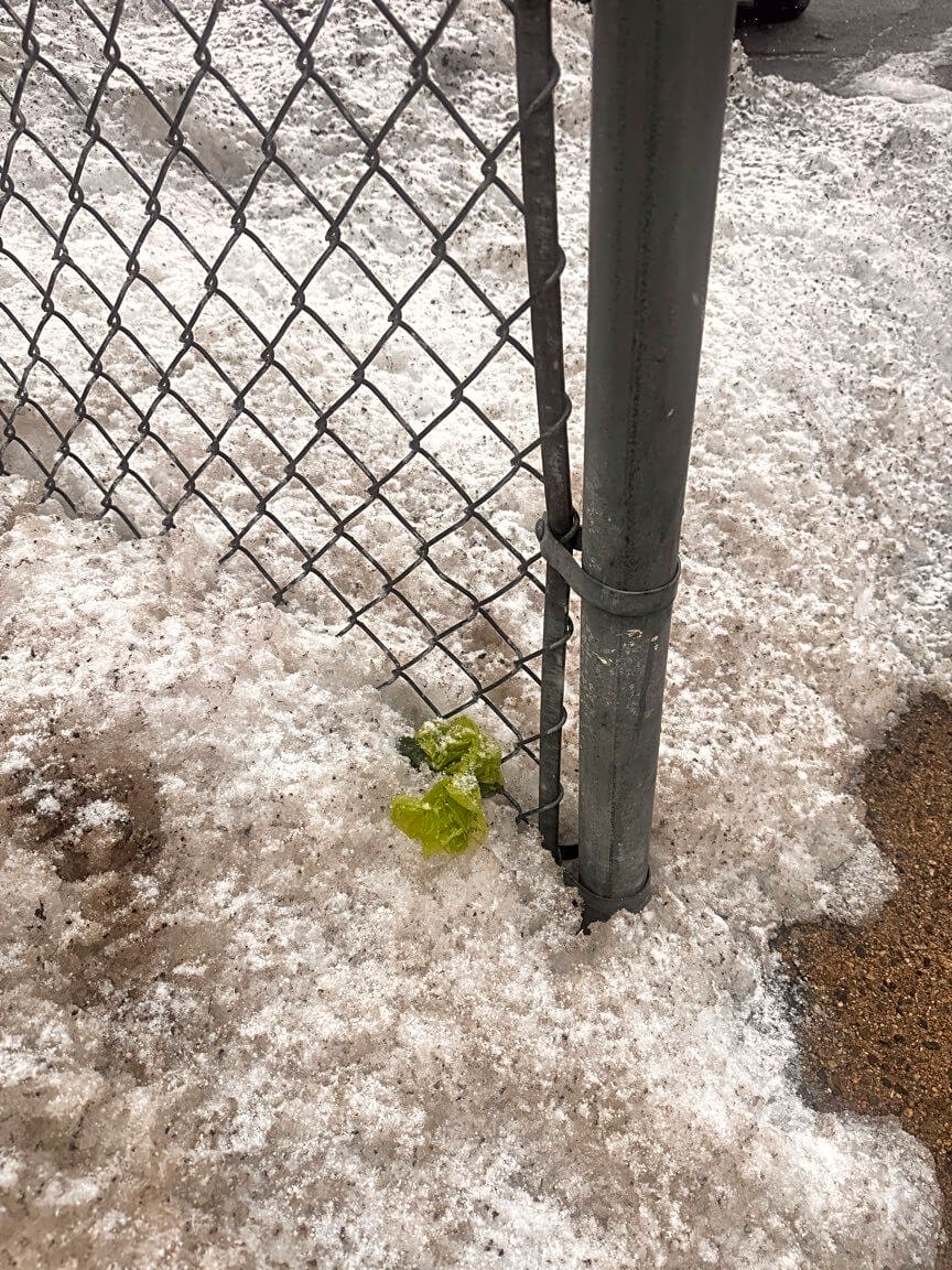 Image submitted with report