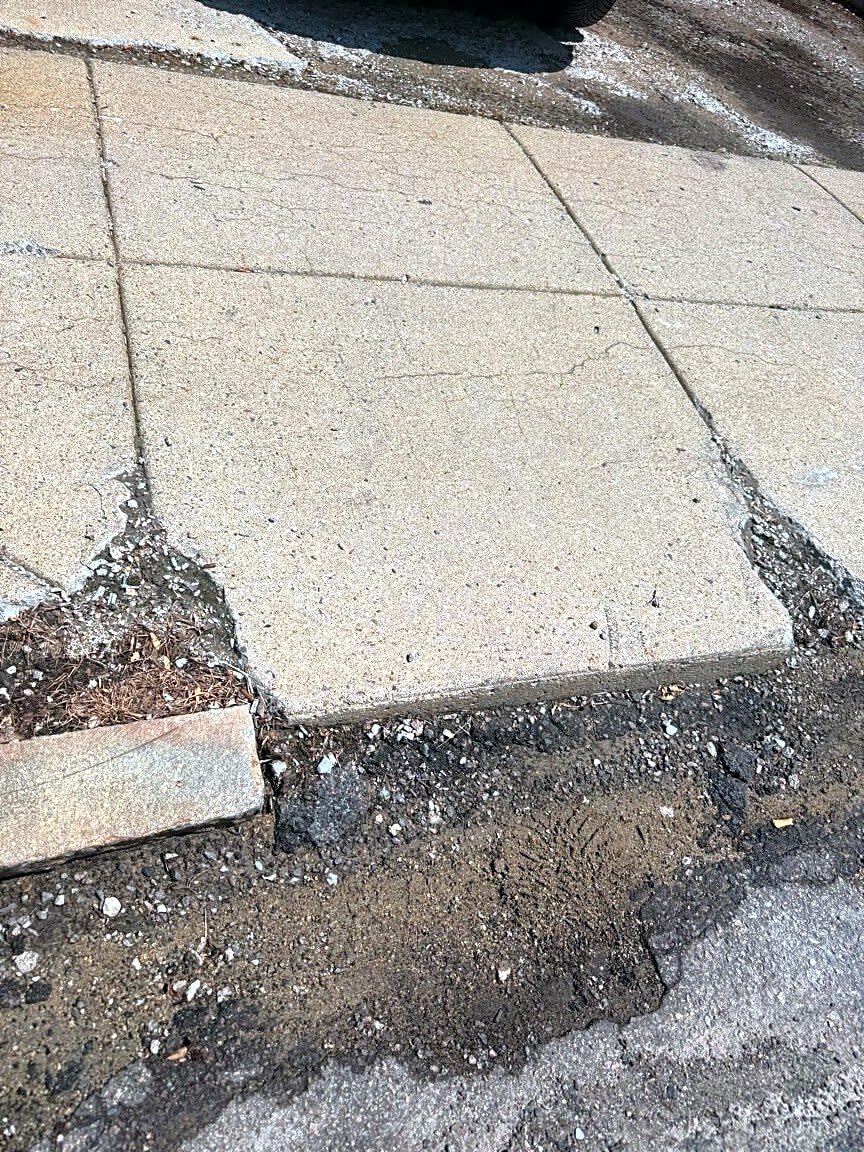 Image submitted with report