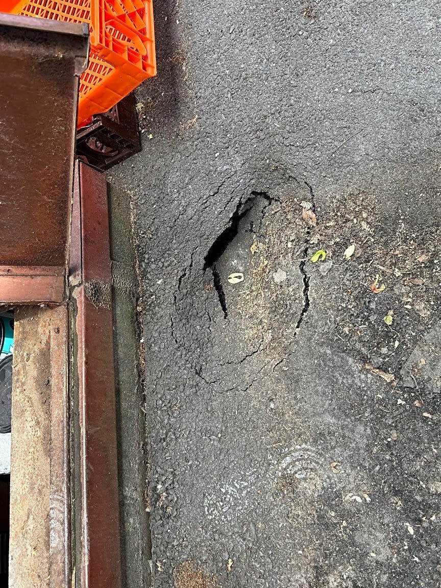 Image submitted with report