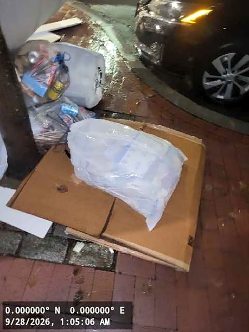 Image submitted with report