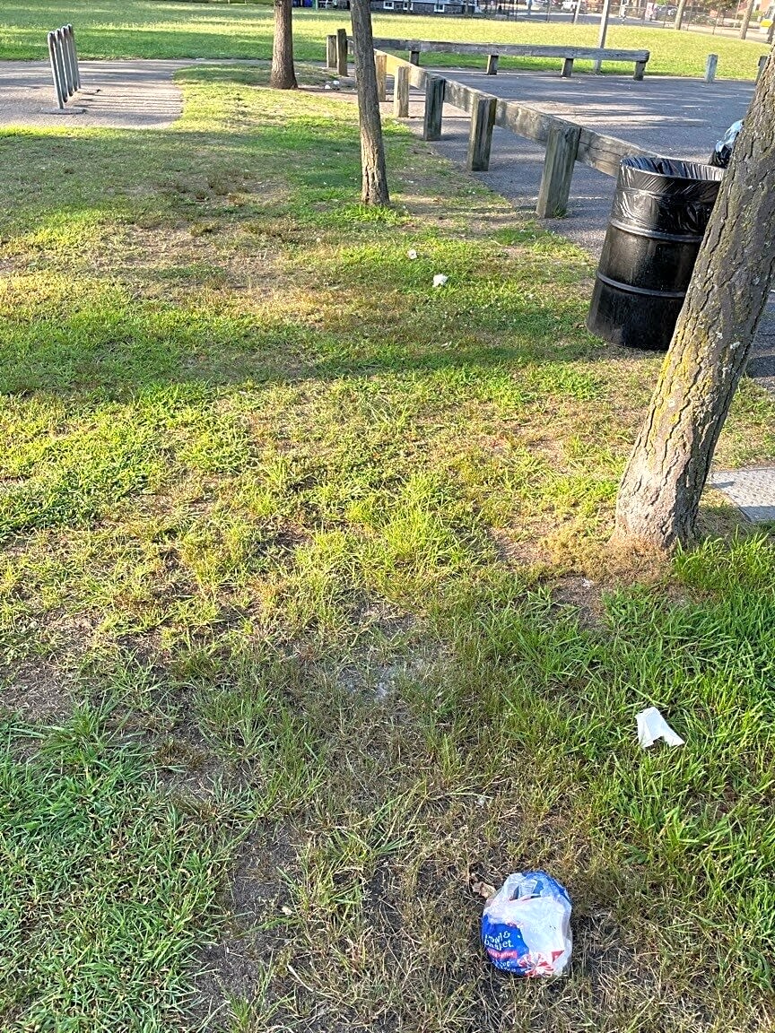 Image submitted with report