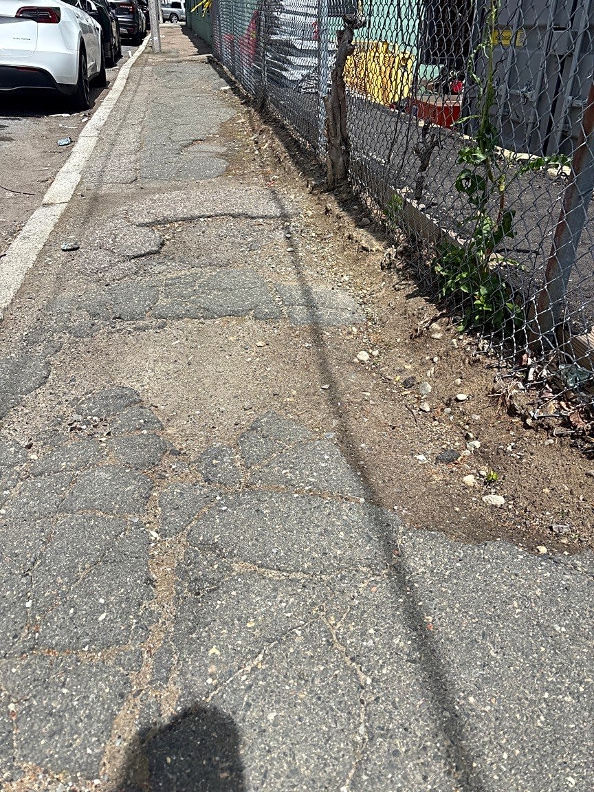 Image submitted with report