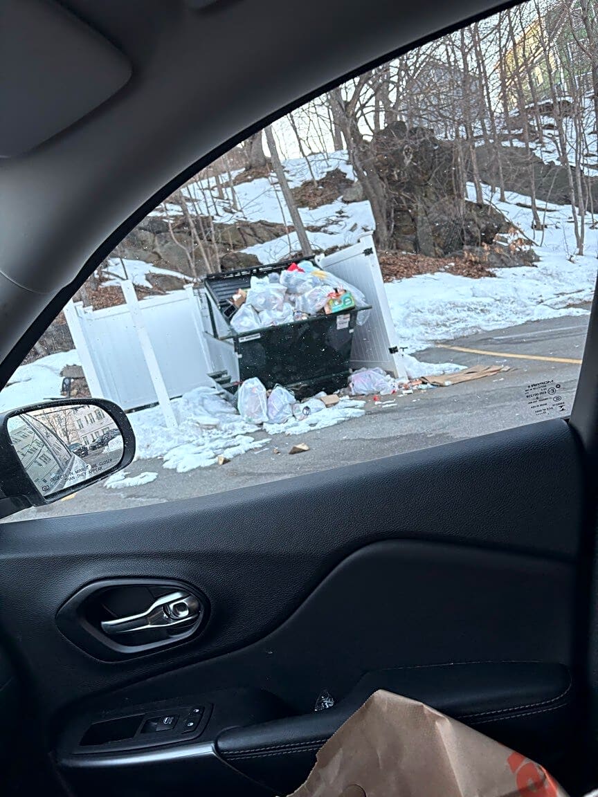 Image submitted with report