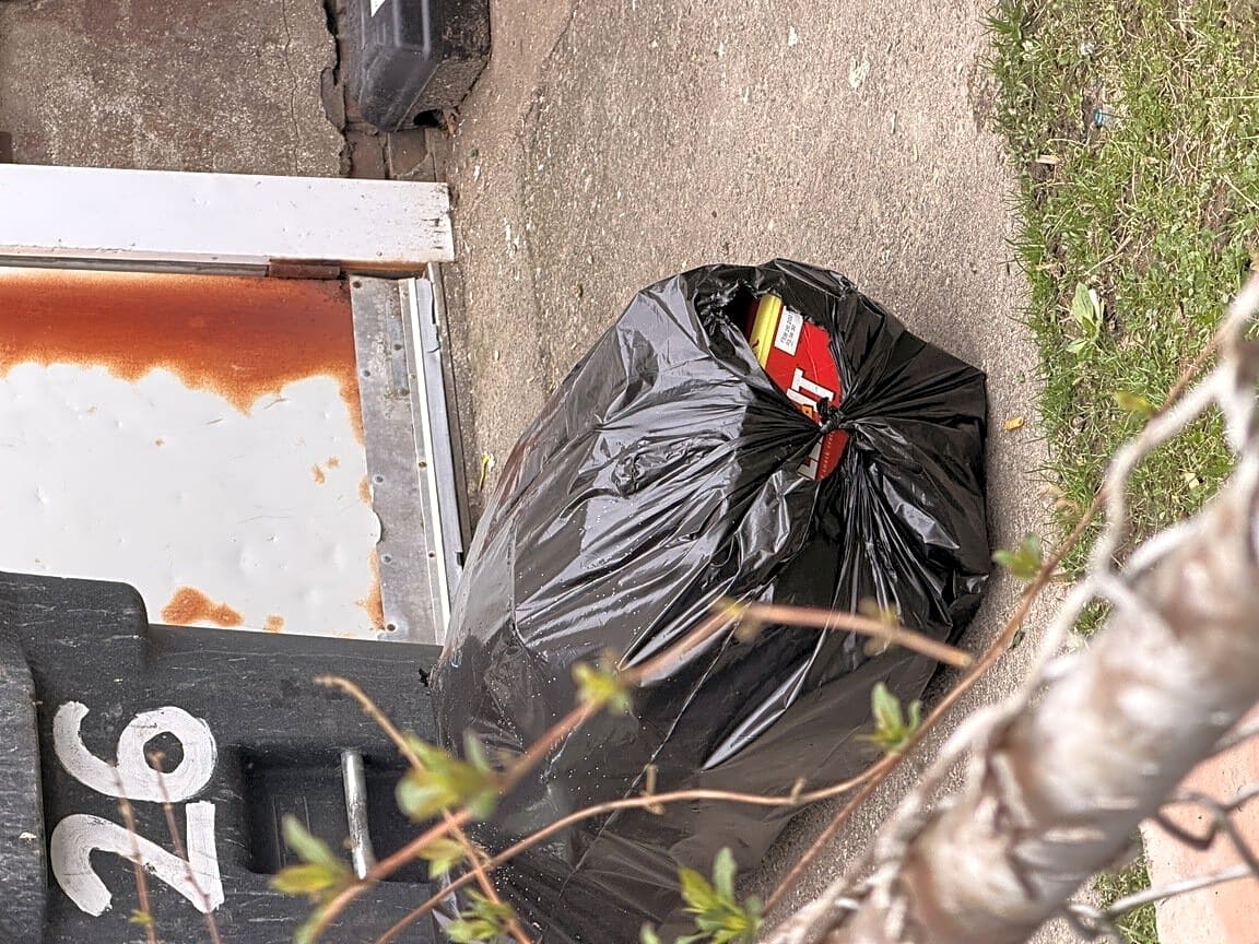 Image submitted with report