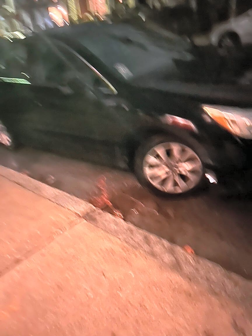 Image submitted with report