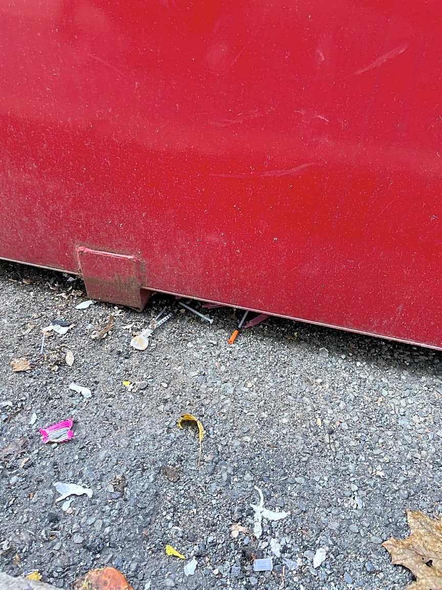 Image submitted with report