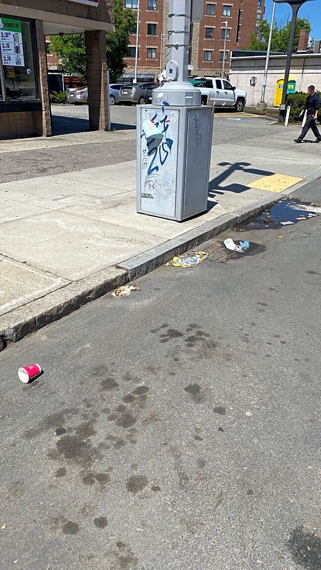 Image submitted with report