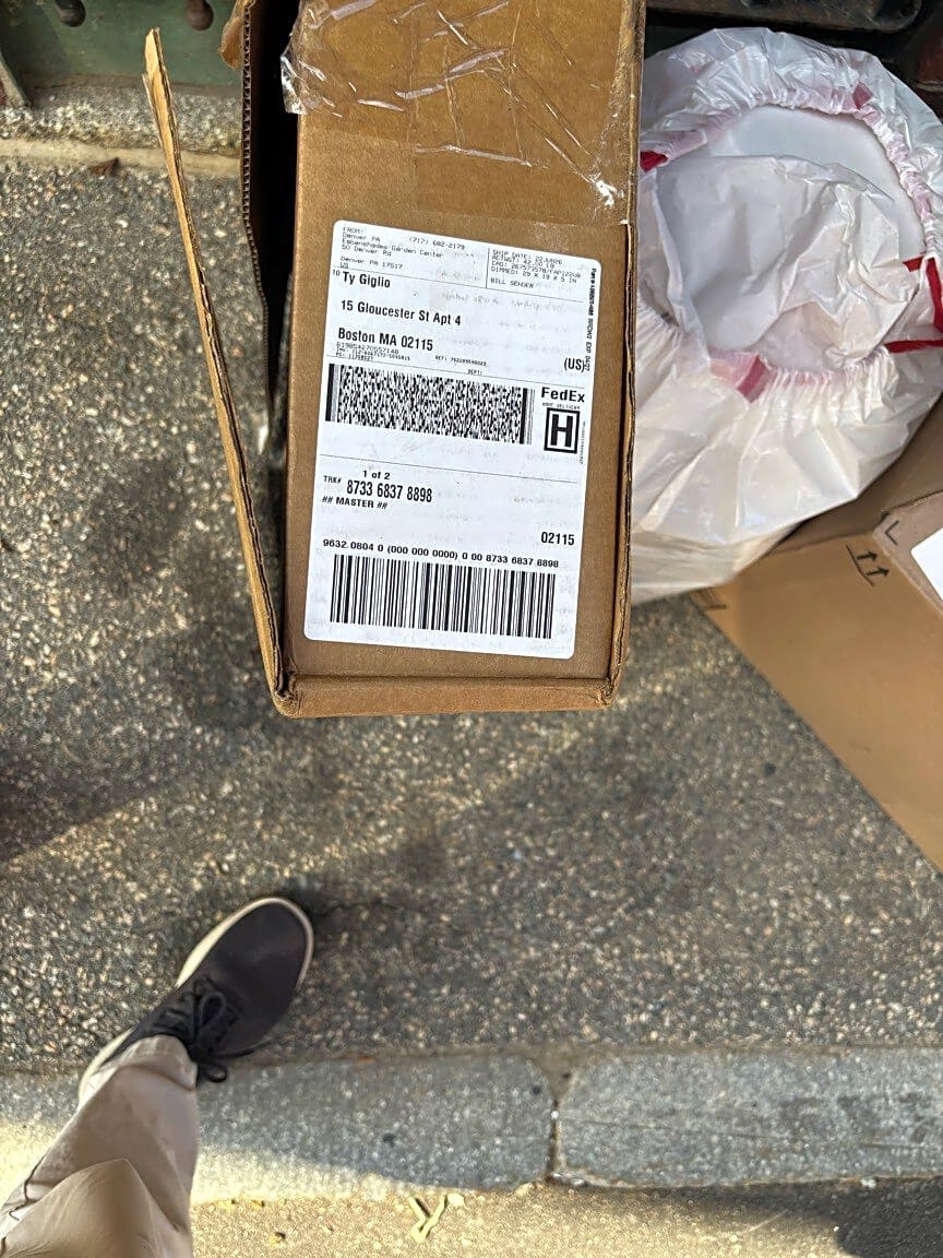 Image submitted with report