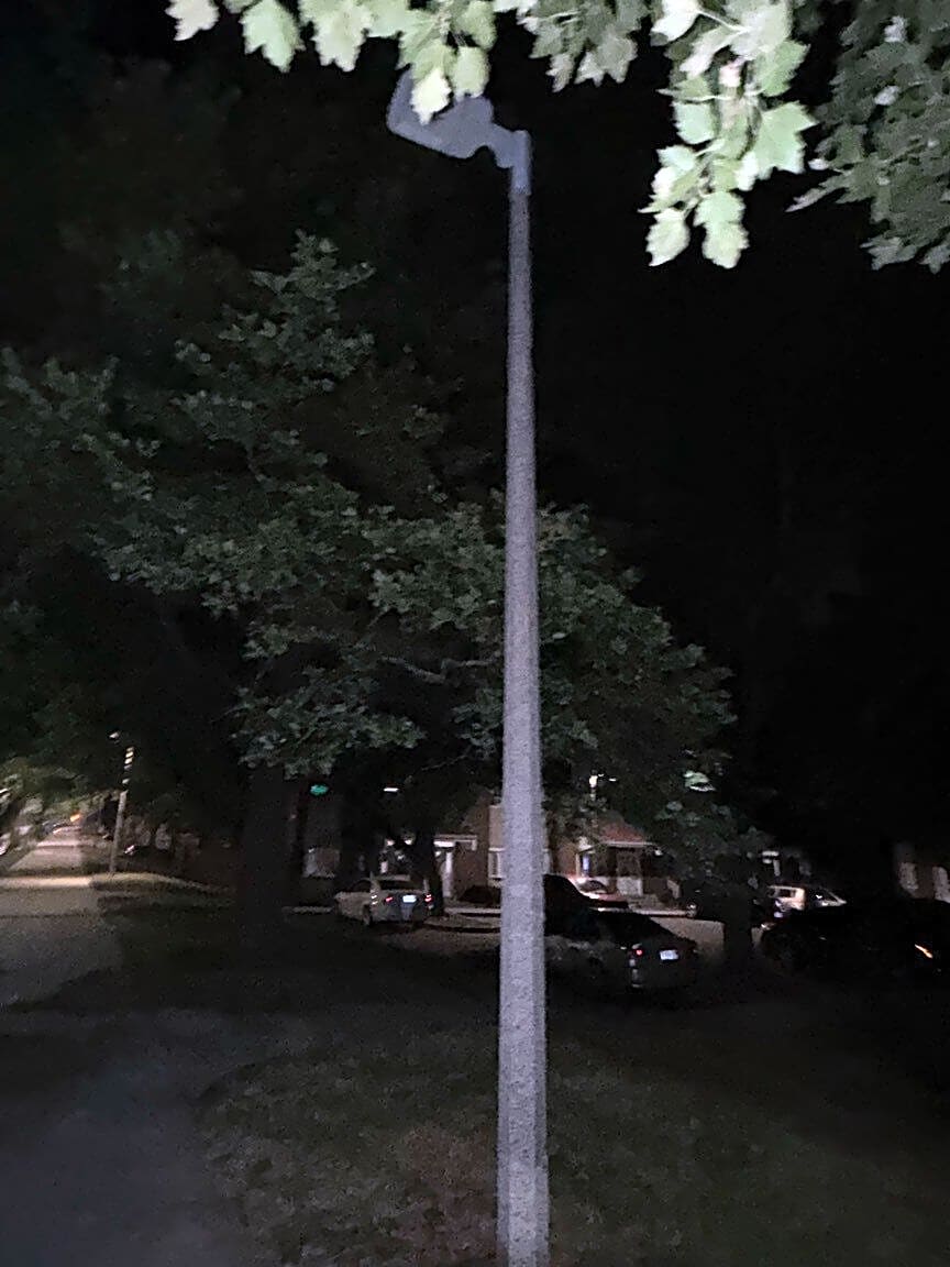 Image submitted with report