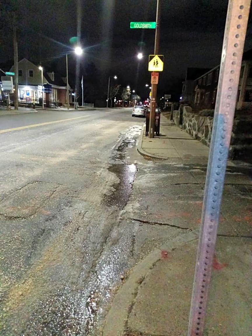 Image submitted with report