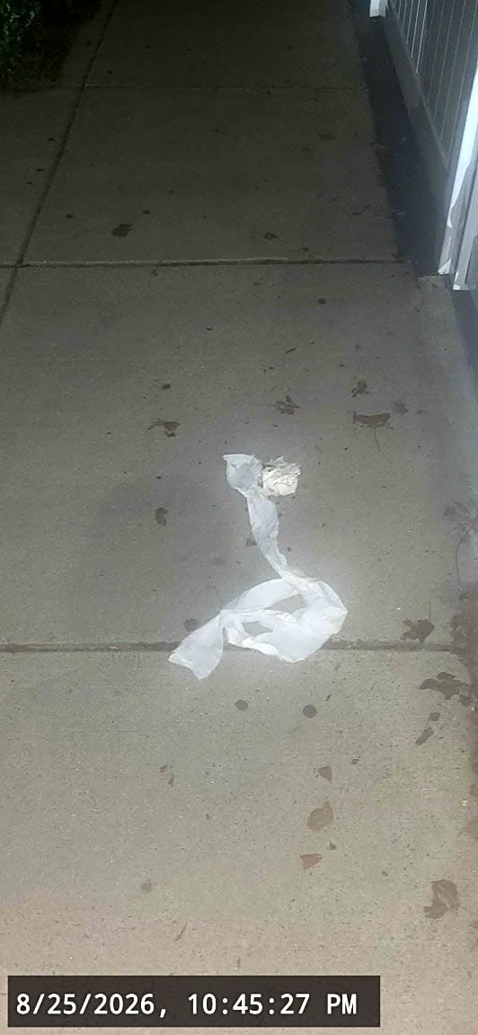 Image submitted with report