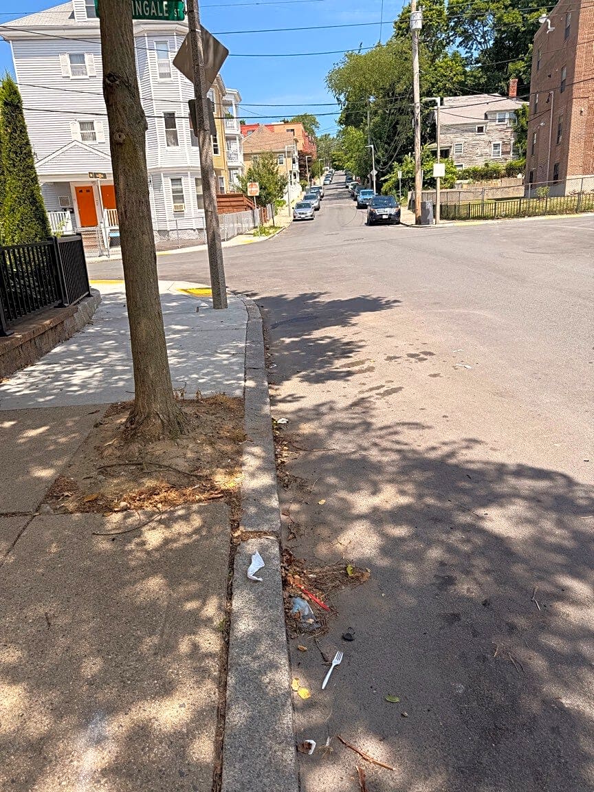 Image submitted with report
