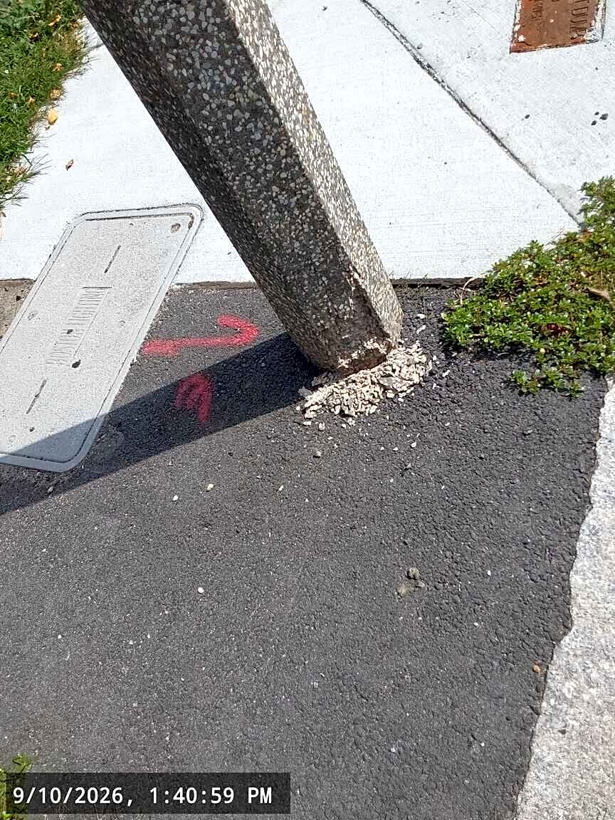 Image submitted with report