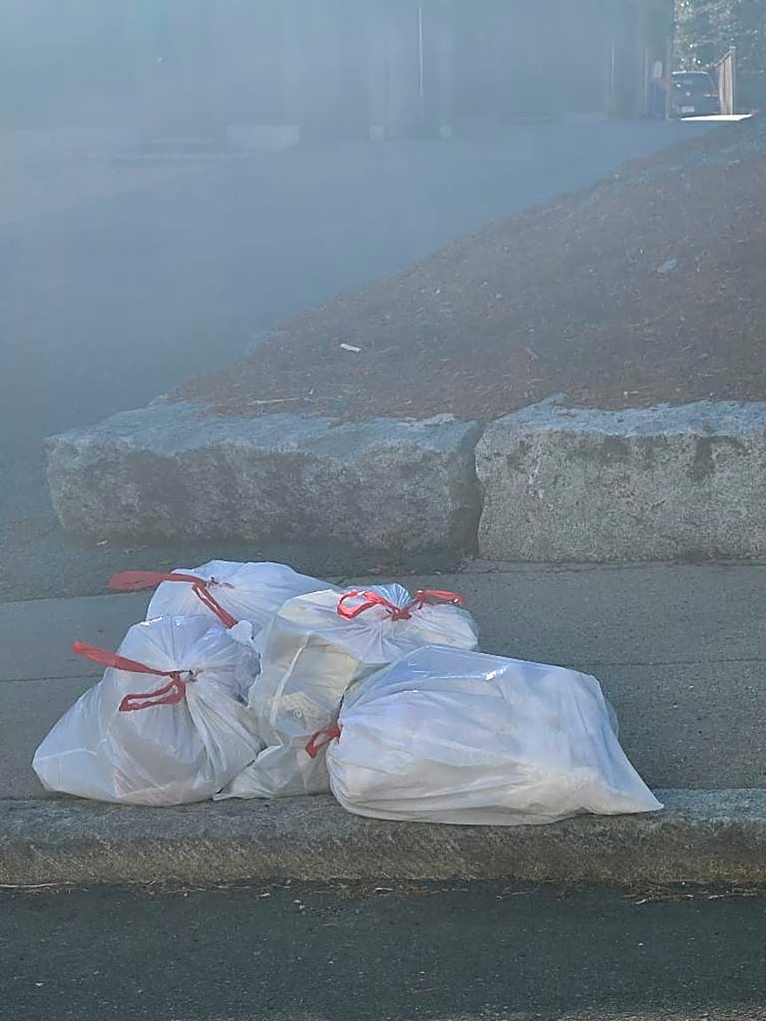 Image submitted with report