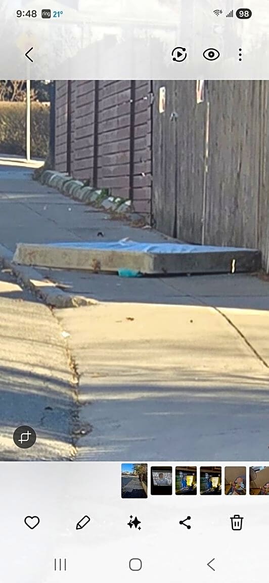 Image submitted with report