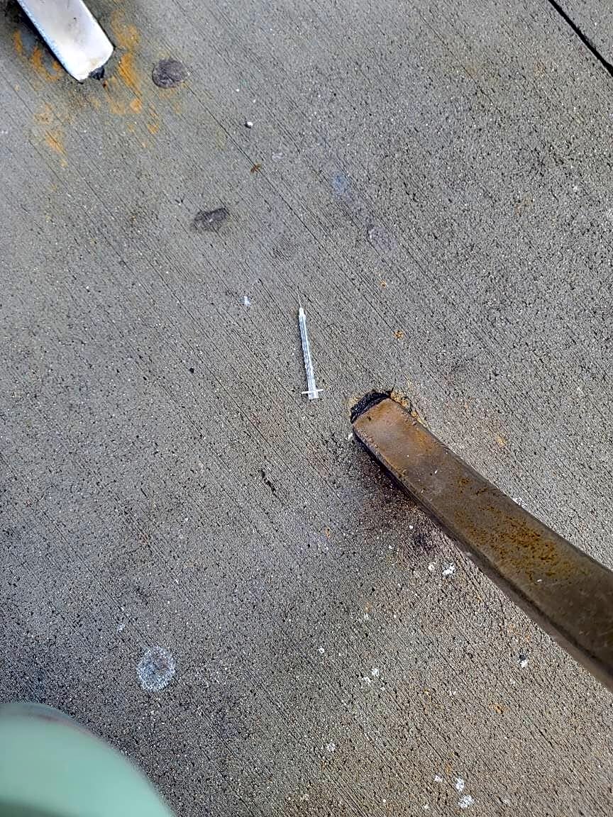 Image submitted with report