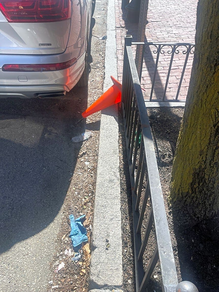 Image submitted with report