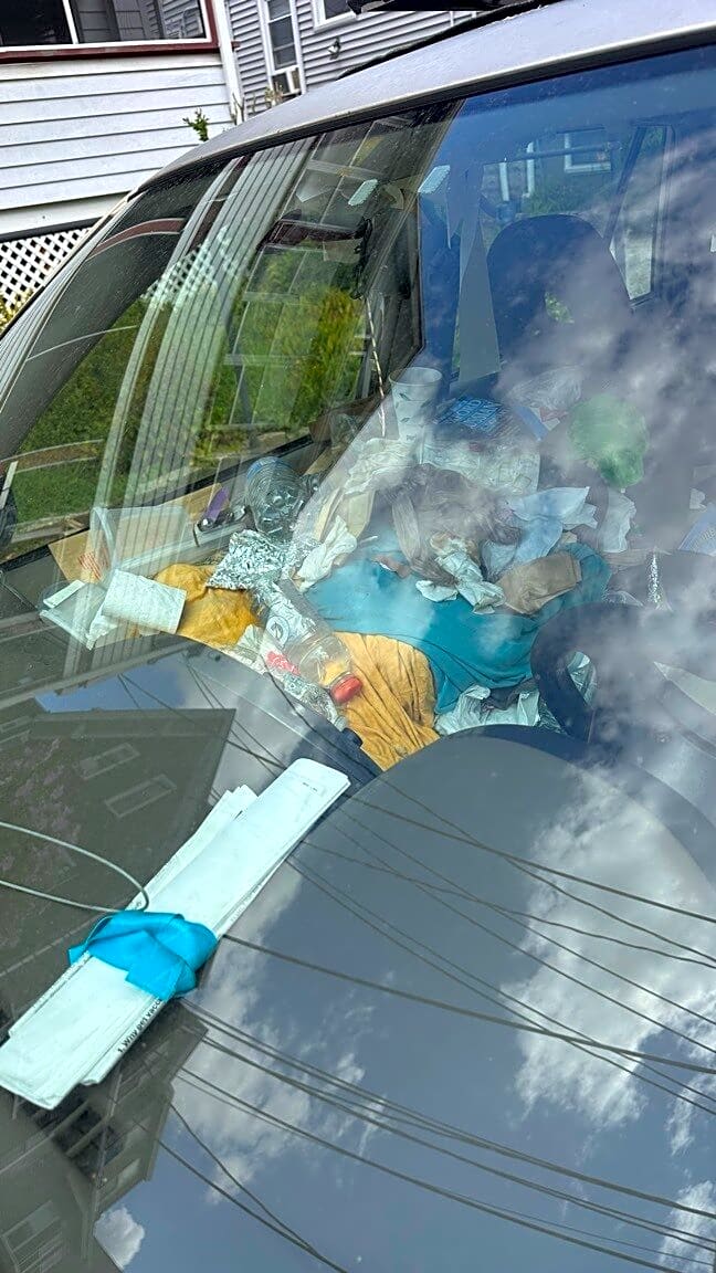 Image submitted with report