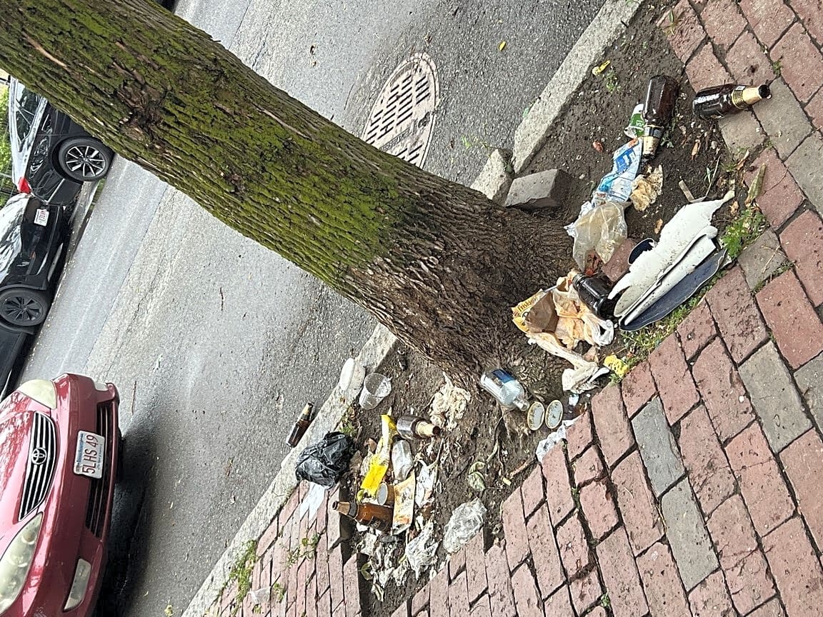 Image submitted with report