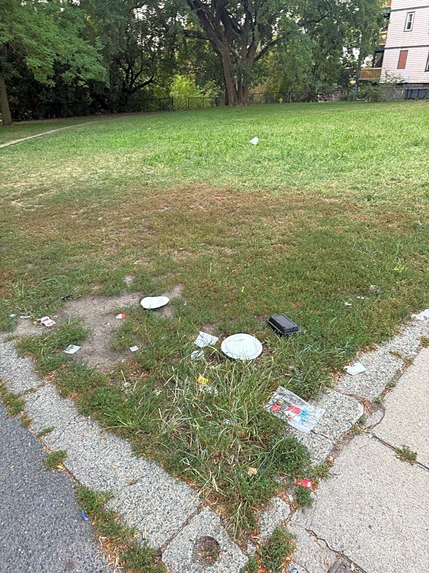Image submitted with report