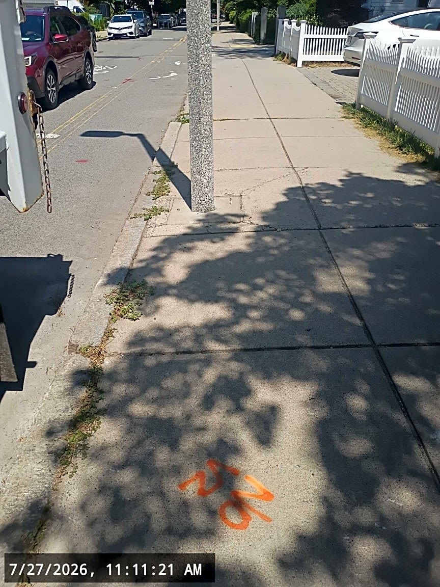 Image submitted with report