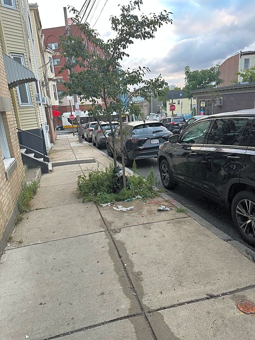 Image submitted with report
