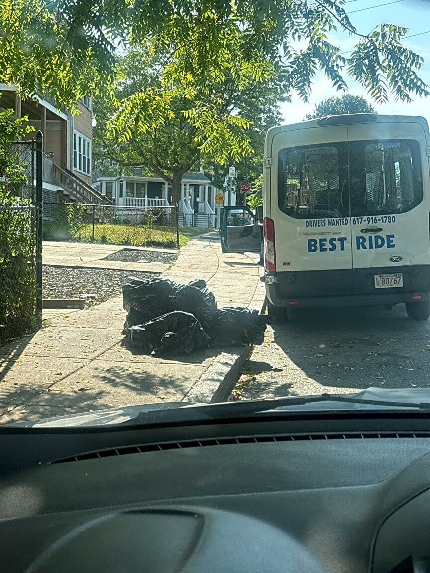 Image submitted with report