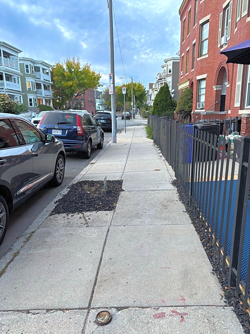 Image submitted with report