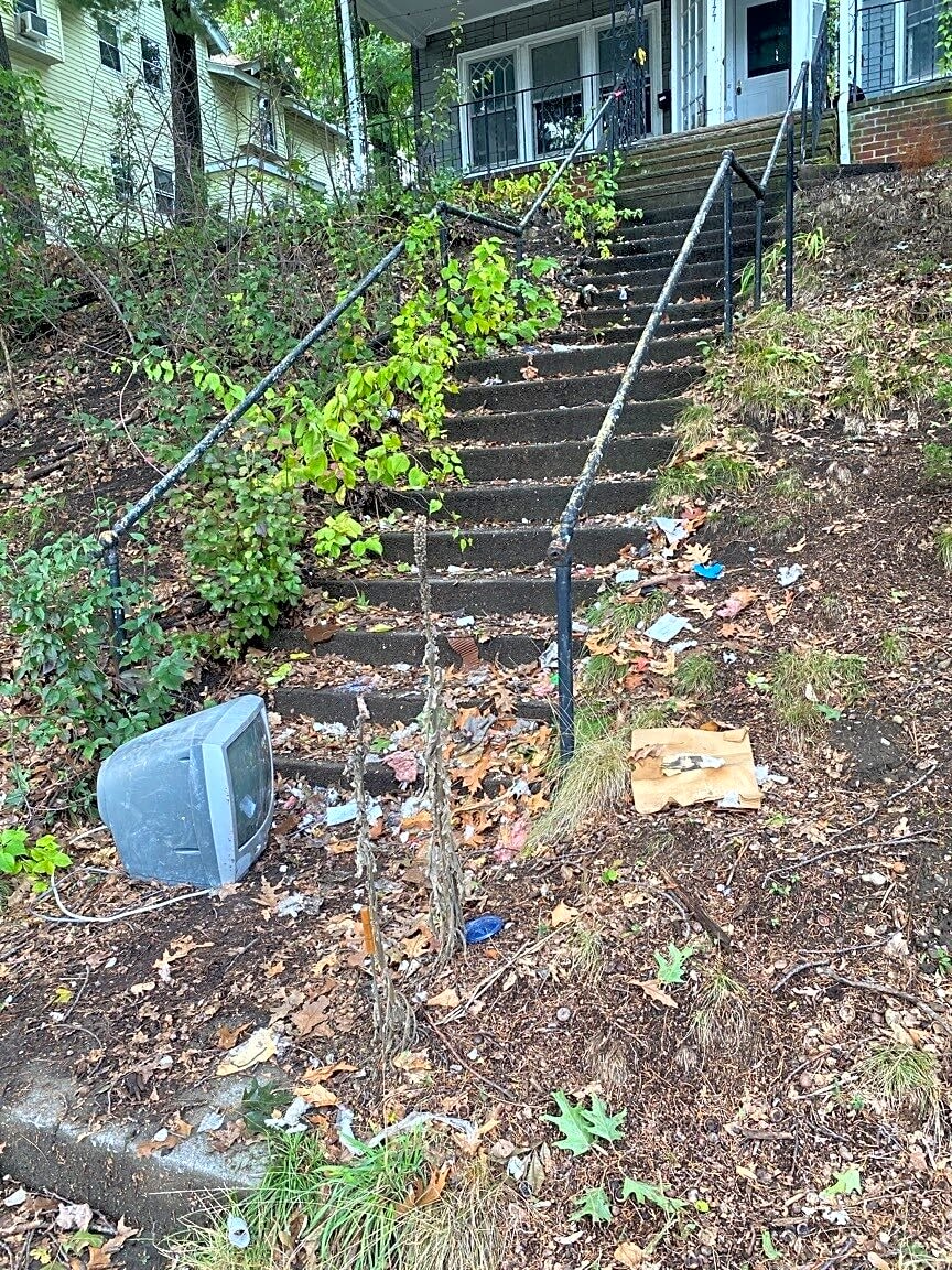 Image submitted with report