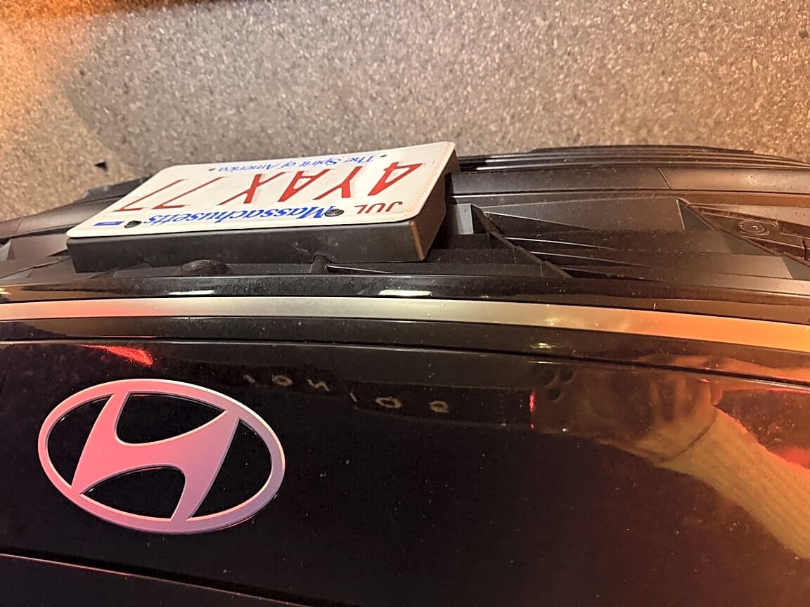 Image submitted with report