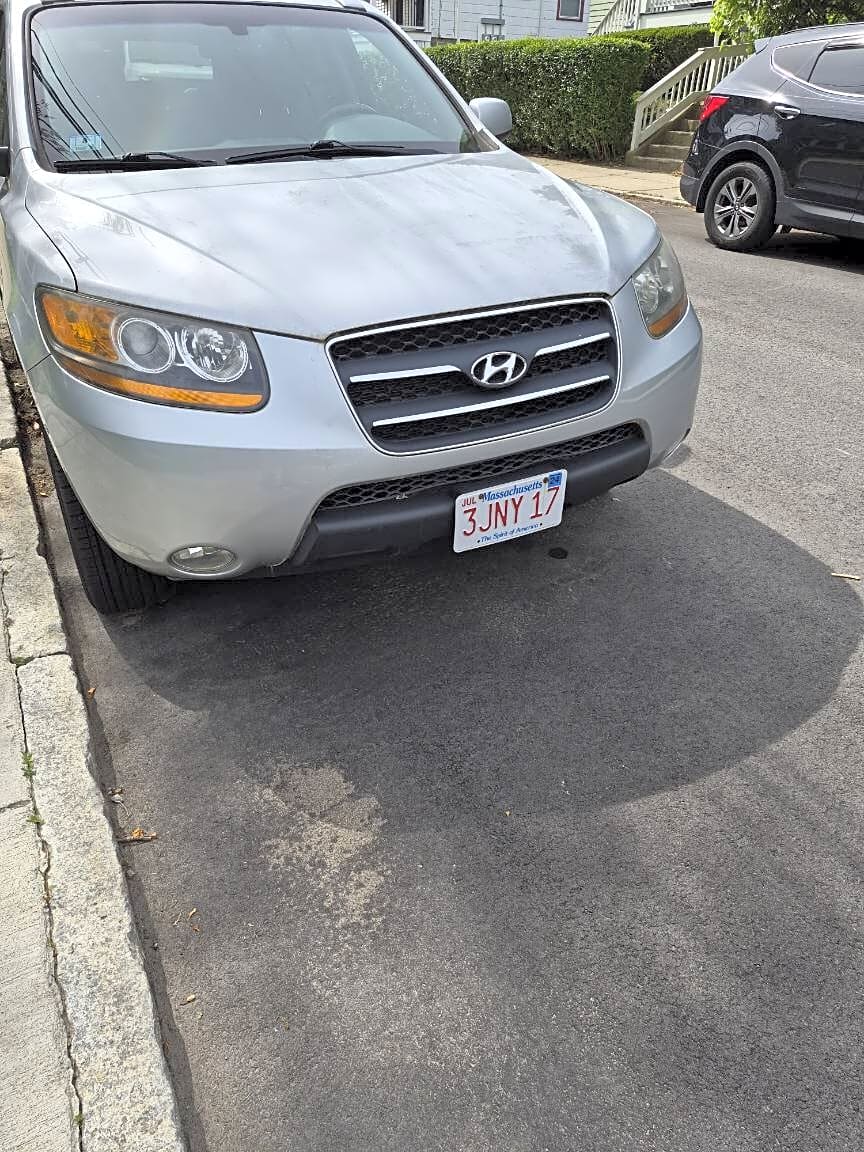 Image submitted with report