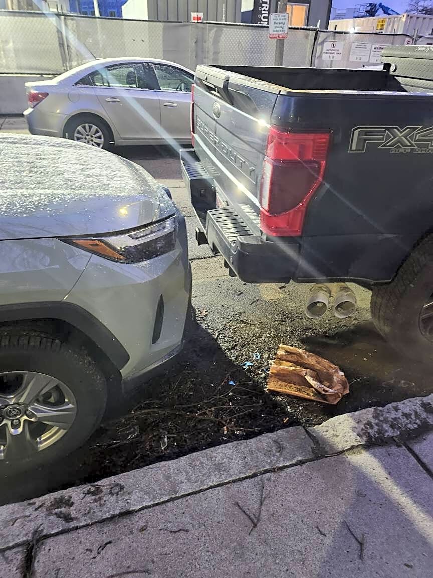 Image submitted with report