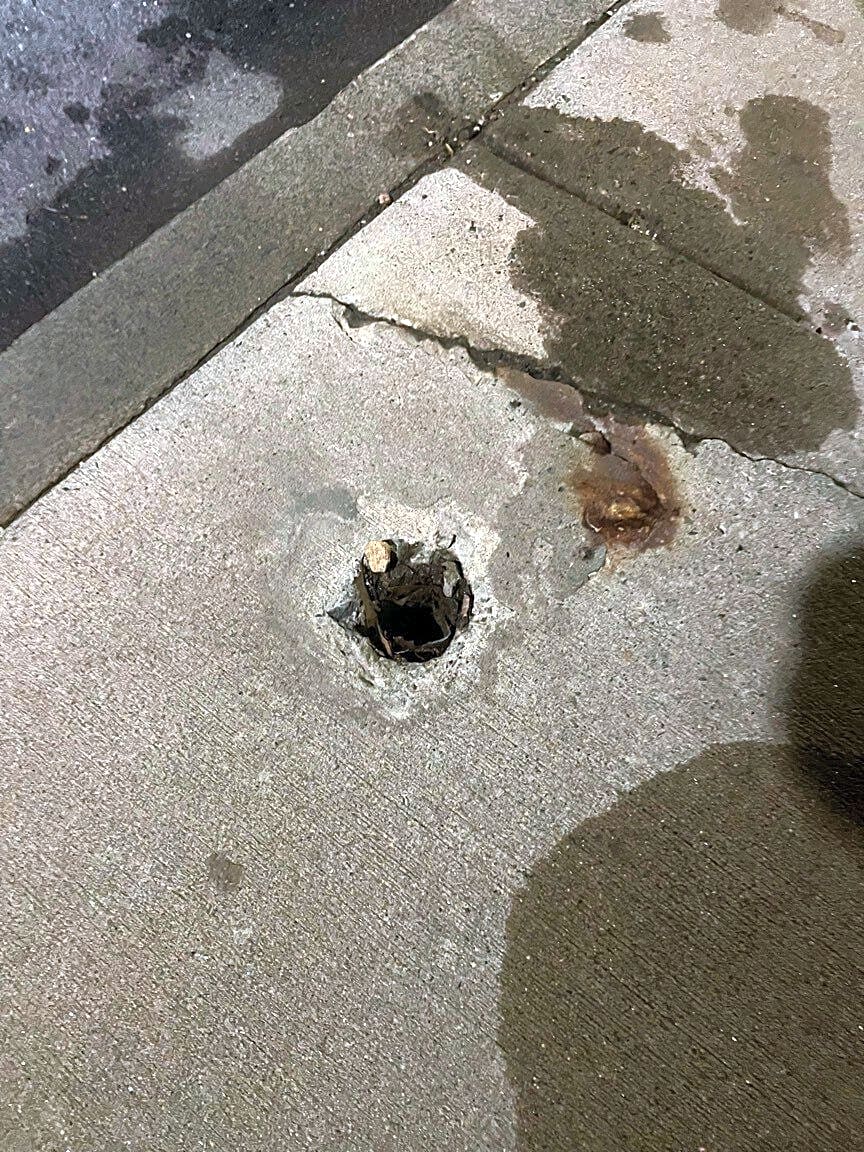 Image submitted with report