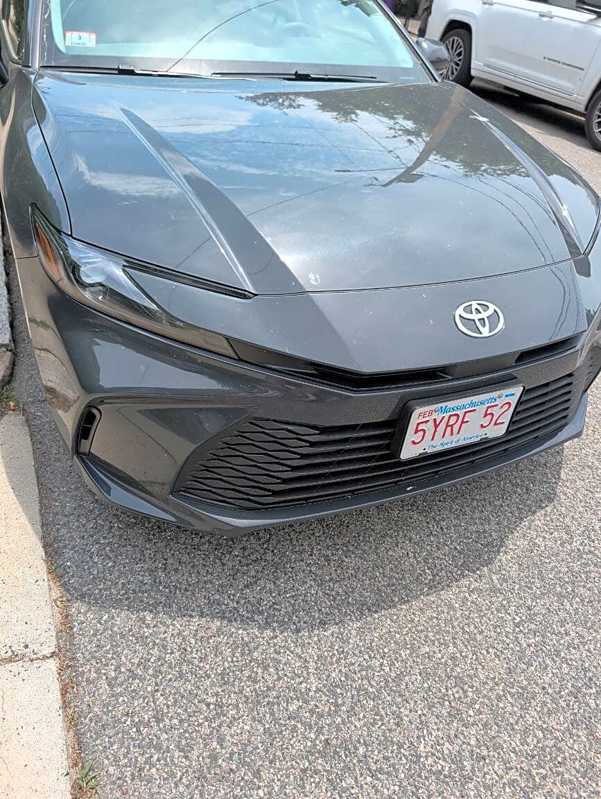 Image submitted with report